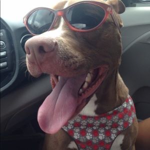 Meet your Posher, Barbie